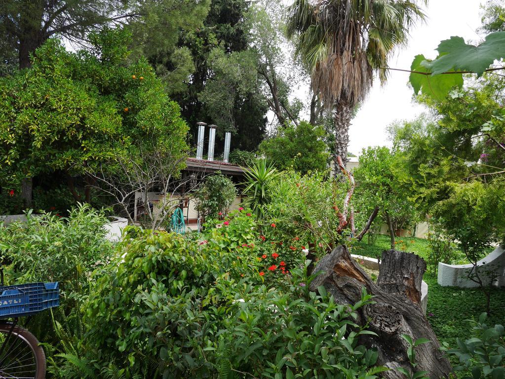 Longhouse Inn Hotel Dalyan Bagian luar foto